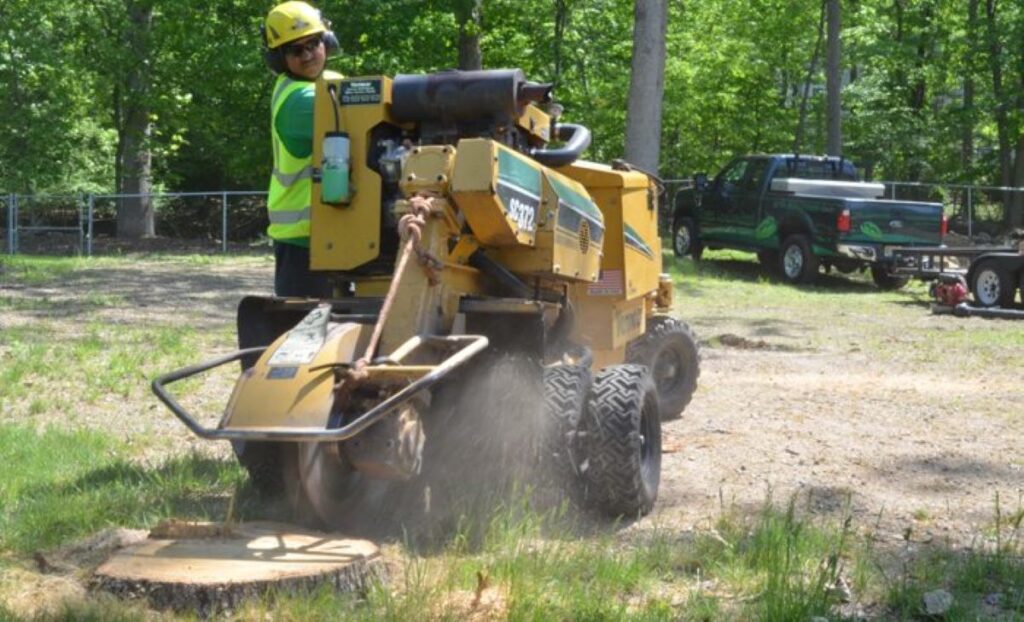 Backyard Stump Grinding