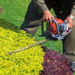 Hedge Shaping Techniques: Create a Polished, Professional Look