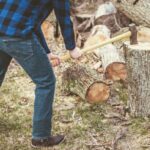 Backyard Stump Grinding: Clear Space and Improve Your Landscape
