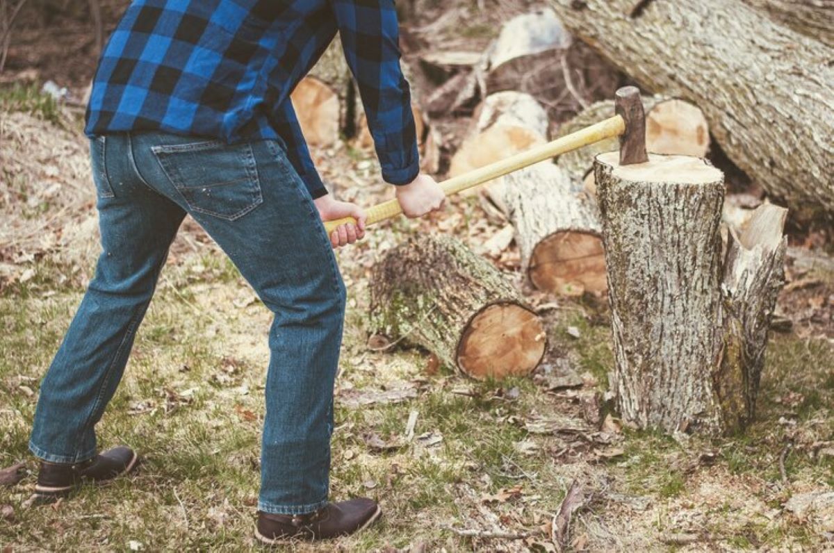 Backyard Stump Grinding