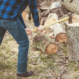 Backyard Stump Grinding: Clear Space and Improve Your Landscape